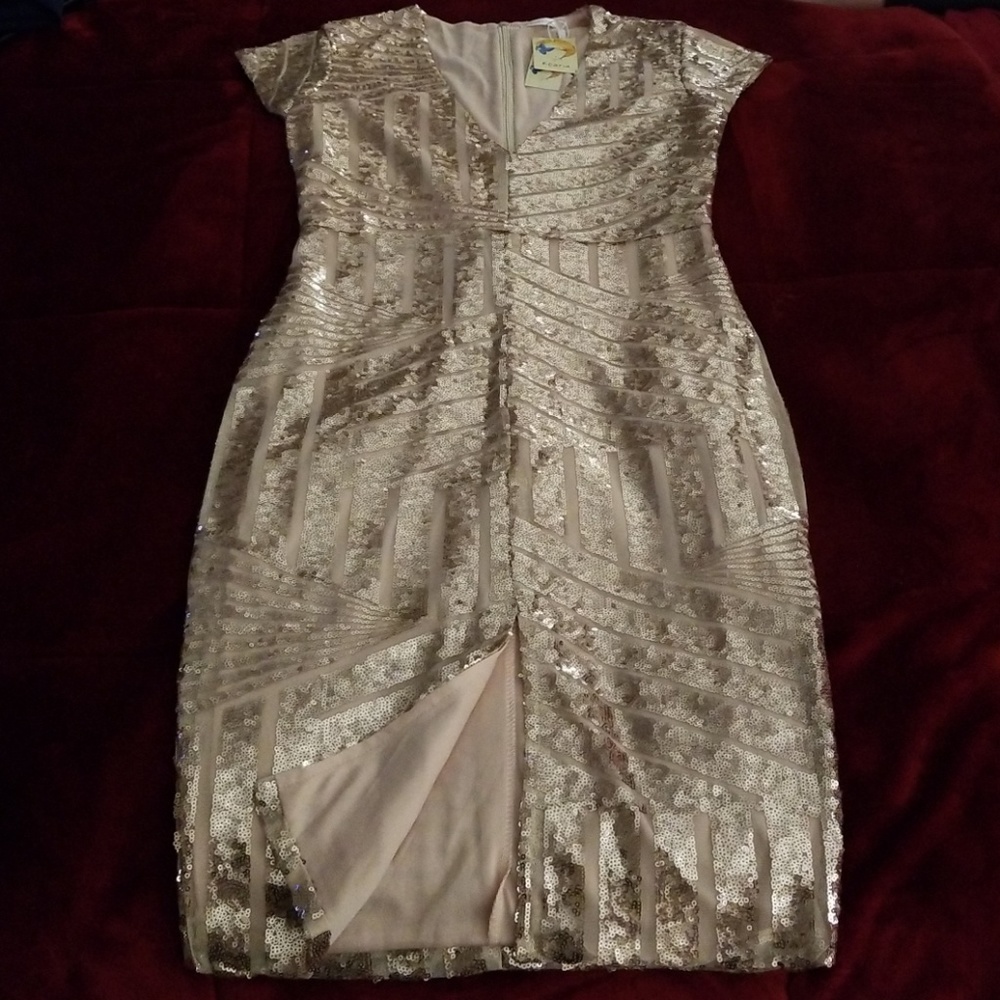 Kearia Women's Sequined light pink pencil dress